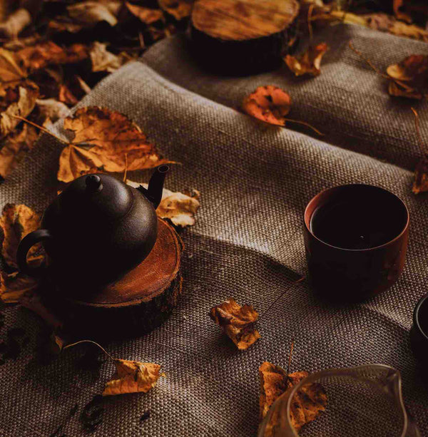 Best Teas for Fall According to TCM